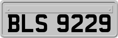 BLS9229