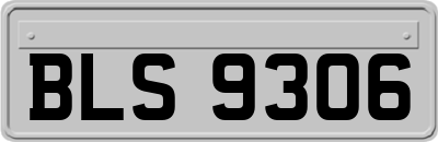 BLS9306