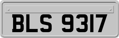 BLS9317