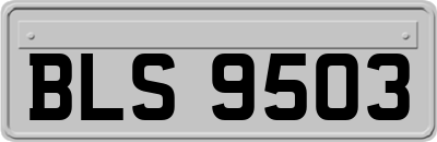 BLS9503