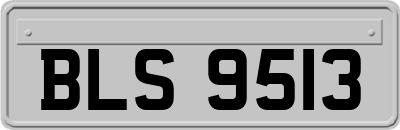 BLS9513