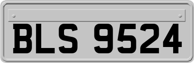BLS9524