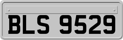 BLS9529