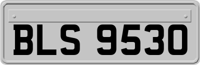 BLS9530