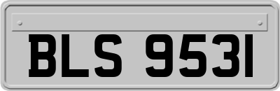 BLS9531
