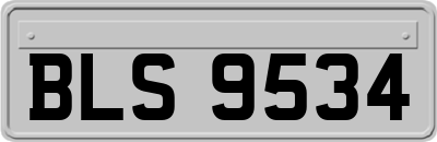 BLS9534