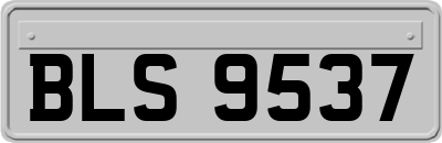BLS9537