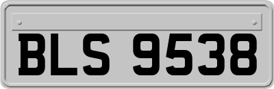 BLS9538