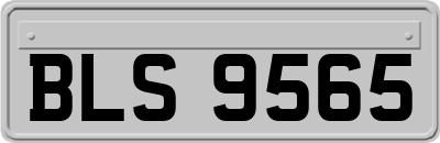 BLS9565