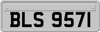 BLS9571