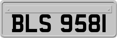BLS9581