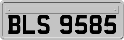 BLS9585