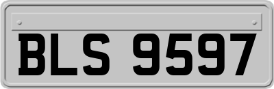 BLS9597