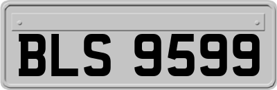 BLS9599