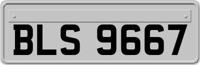 BLS9667