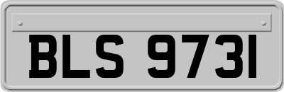 BLS9731