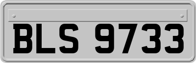 BLS9733