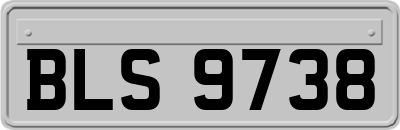 BLS9738