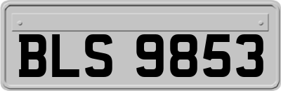 BLS9853