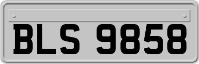 BLS9858