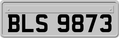 BLS9873