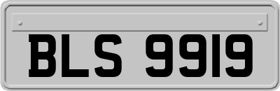 BLS9919