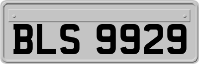 BLS9929