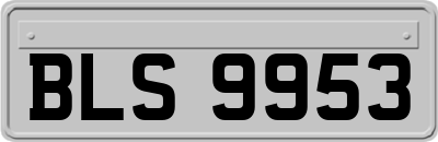 BLS9953