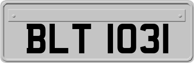 BLT1031