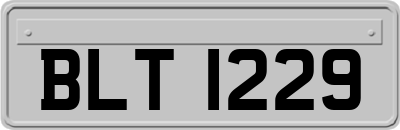 BLT1229