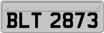 BLT2873