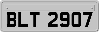 BLT2907