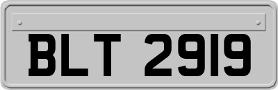 BLT2919