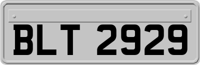 BLT2929