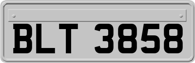 BLT3858