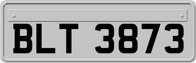 BLT3873