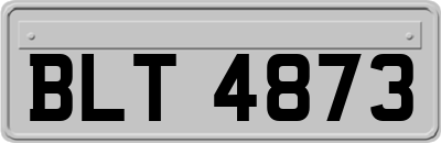 BLT4873