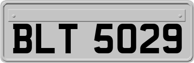 BLT5029