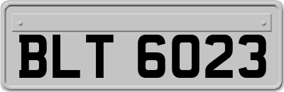 BLT6023