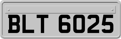 BLT6025