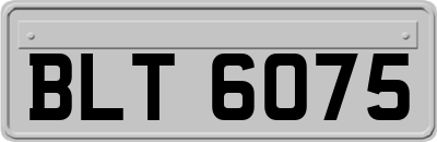 BLT6075
