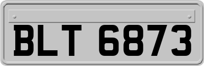 BLT6873