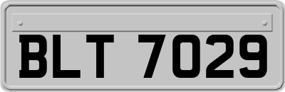BLT7029