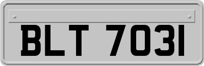 BLT7031