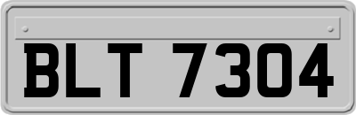 BLT7304