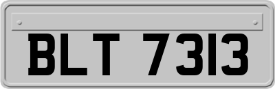 BLT7313