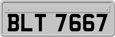 BLT7667