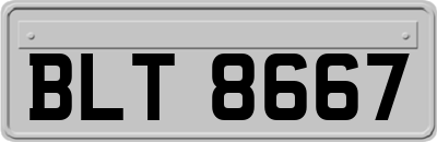 BLT8667