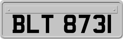 BLT8731