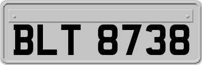 BLT8738
